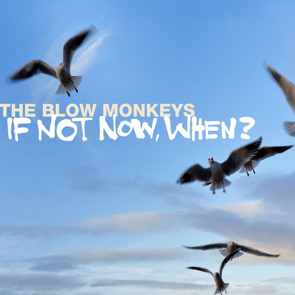 If Not Now, When? by The Blow Monkeys