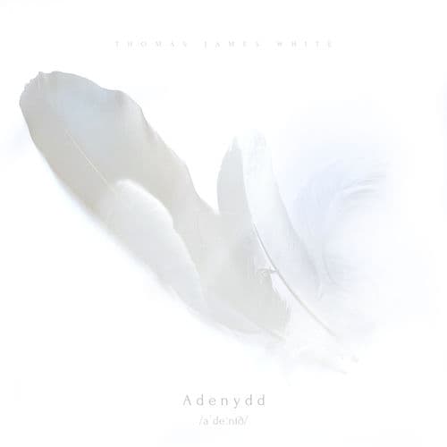 Adenydd by Thomas James White