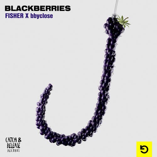 Blackberries by bbyclose