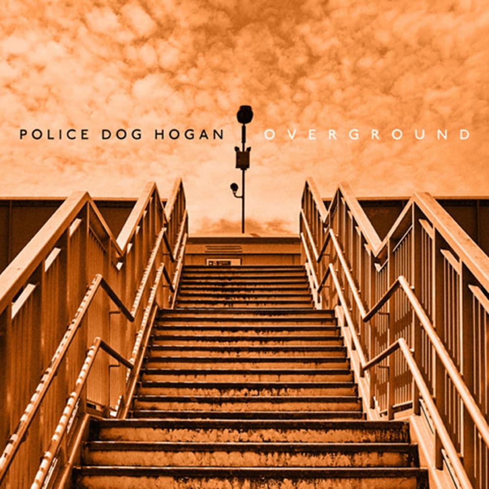 Overground by Police Dog Hogan