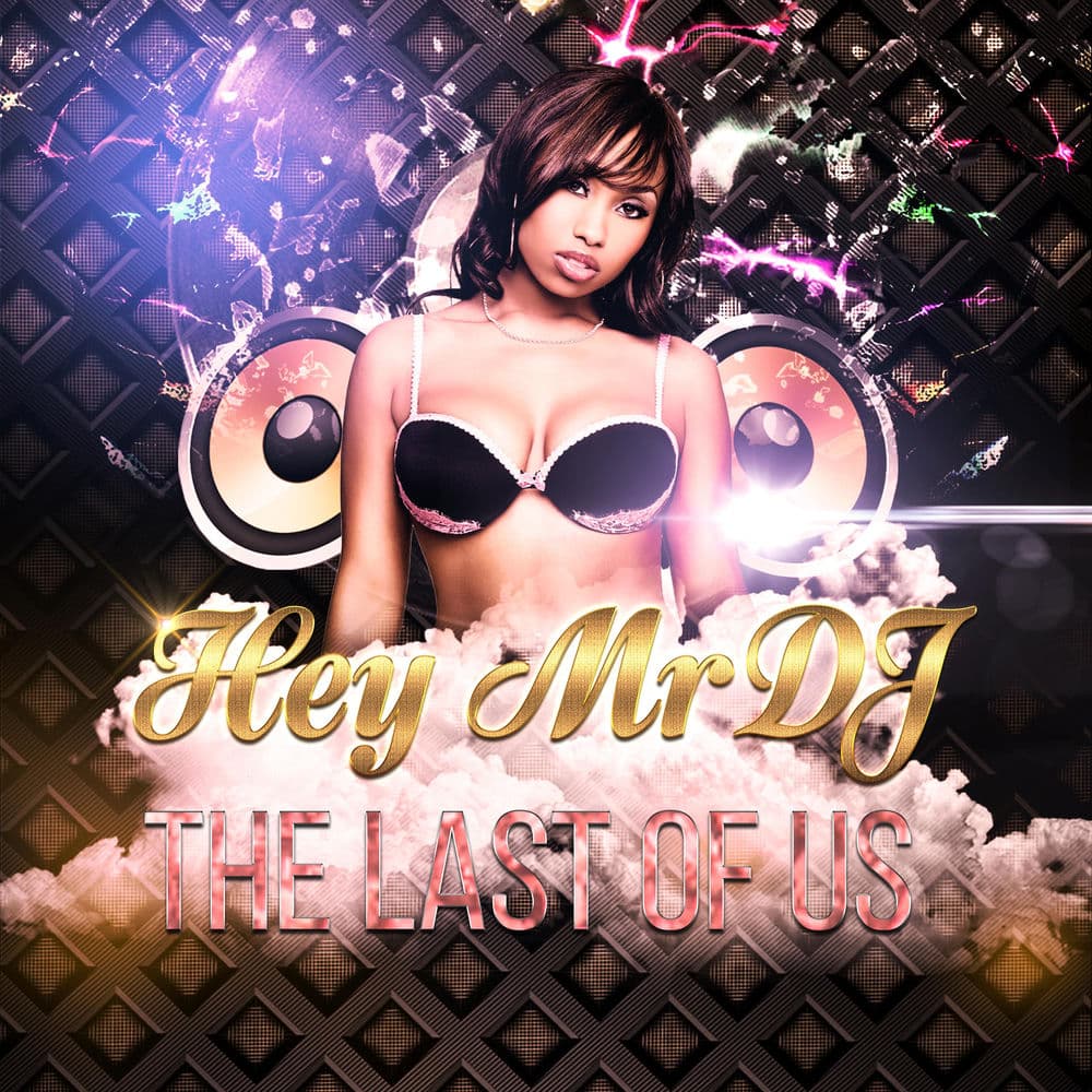 Hey Mr DJ by The Last of Us