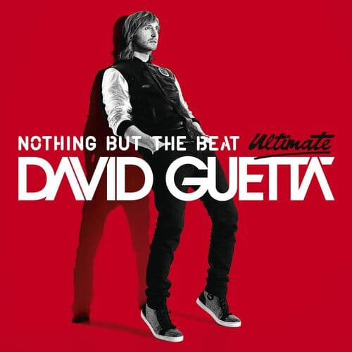 Nothing but the Beat by David Guetta