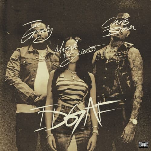 IDGAF by Tee Grizzley, Mariah The Scientist & Chris Brown