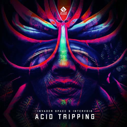 Acid Tripping by Invader Space