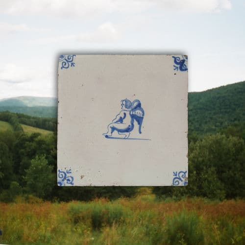 Roses by Widowspeak