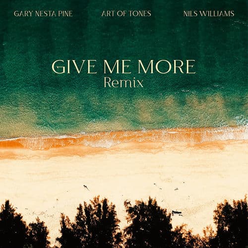 Give Me More (Art of Tones Remix) by Gary Nesta Pine