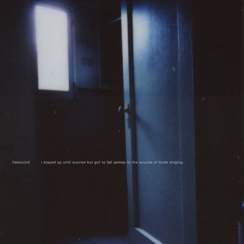 i stayed up until sunrise but got to fall asleep to the sounds of birds singing (a compilation of songs from 2008-2013) by Flatsound