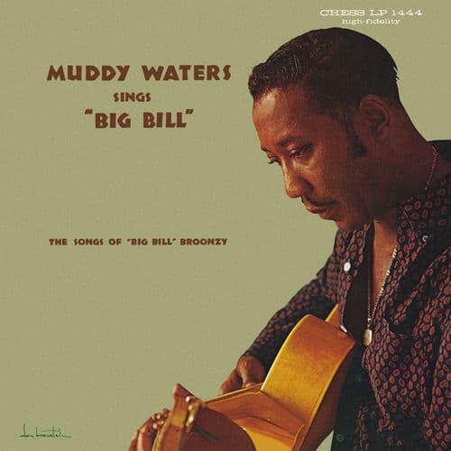 Muddy Waters Sings Big Bill Broonzy by Muddy Waters