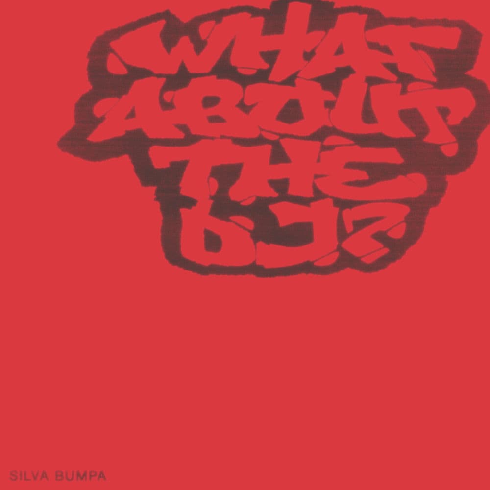 What About The DJ? EP by Silva Bumpa