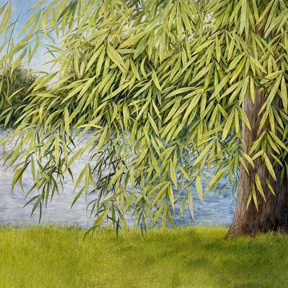 Nothing but Green Willow (The Songs of Mary Sands and Jane Gentry) by Martin Simpson