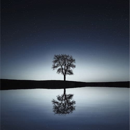 Ultimate Peace & Calm by Breathe