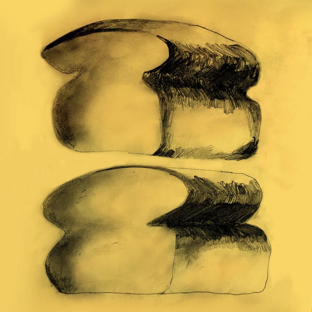 Breadwinner by Widowspeak