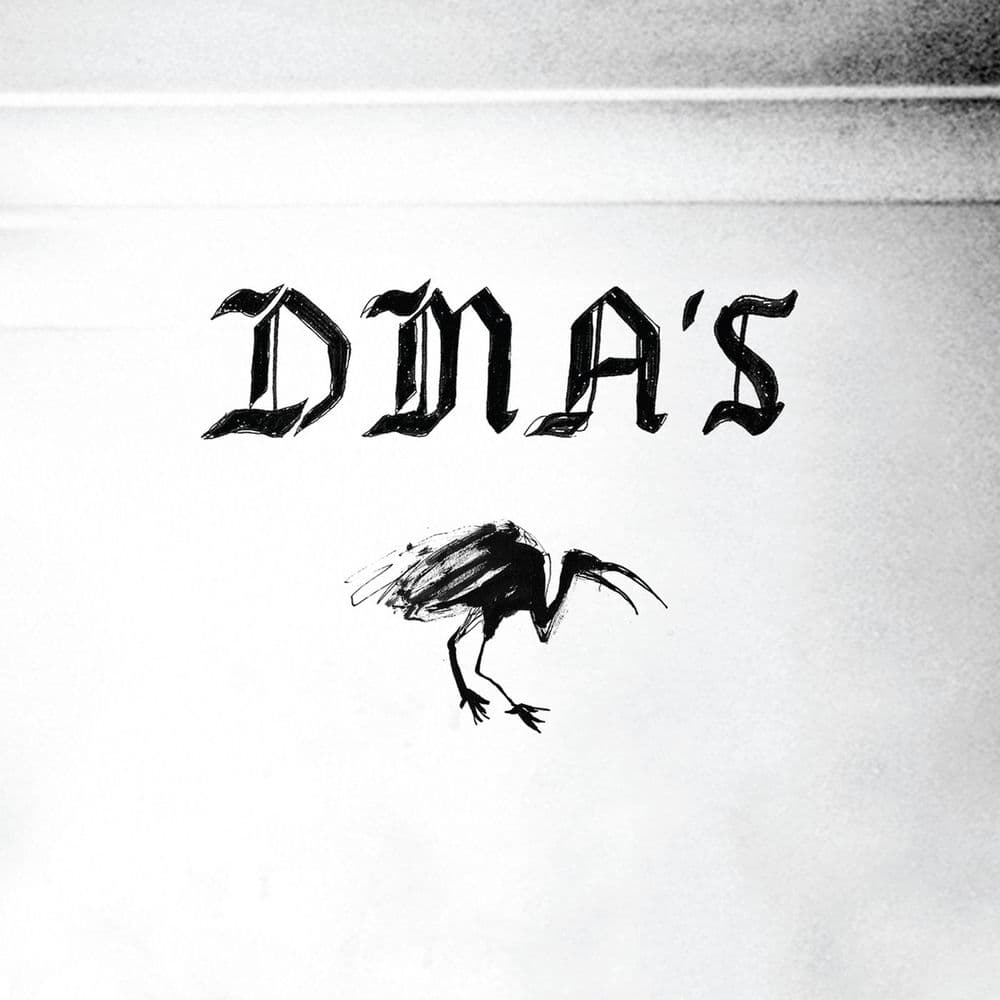 DMA's by DMA’s
