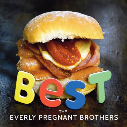 Stuck in the Lidl With You by The Everly Pregnant Brothers