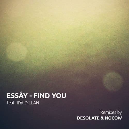 Find You by Essáy