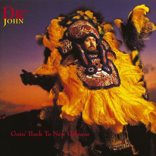 Goin' Back to New Orleans by Dr. John