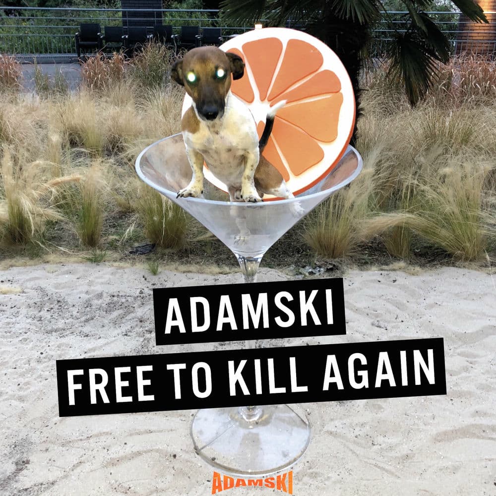 Free to Kill Again by Adamski