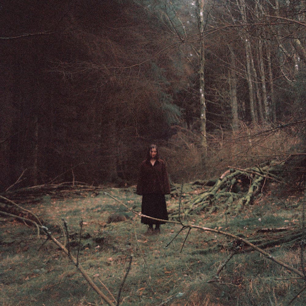 In My House / Like A Thorn by Theo Bleak