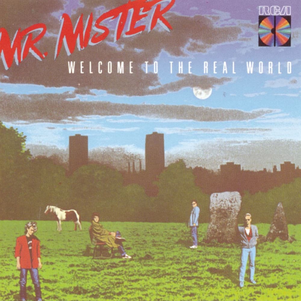 Welcome to the Real World by Mr. Mister