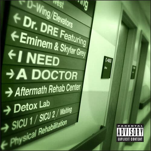 "I Need a Doctor" by Dr. Dre featuring Eminem and Skylar Grey