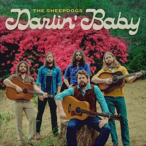 Darlin' Baby by The Sheepdogs