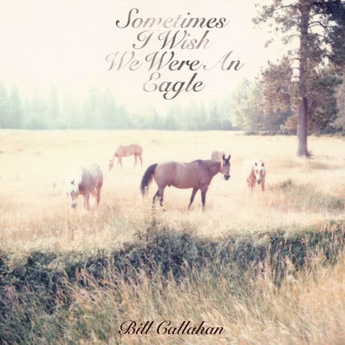 All Thoughts are Prey to Some Beast by Bill Callahan