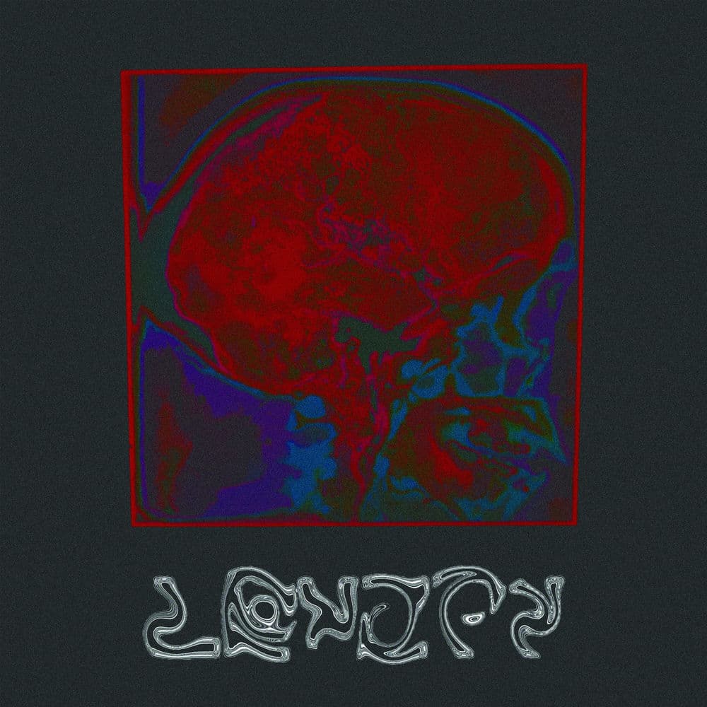 Levity by Levity
