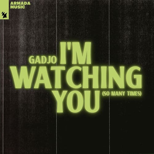 I'm Watching You (So Many Times) by Gadjo