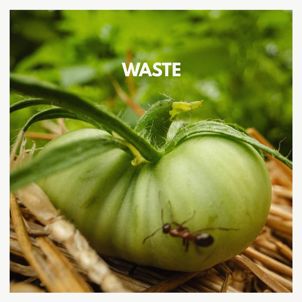 Waste by Tophouse
