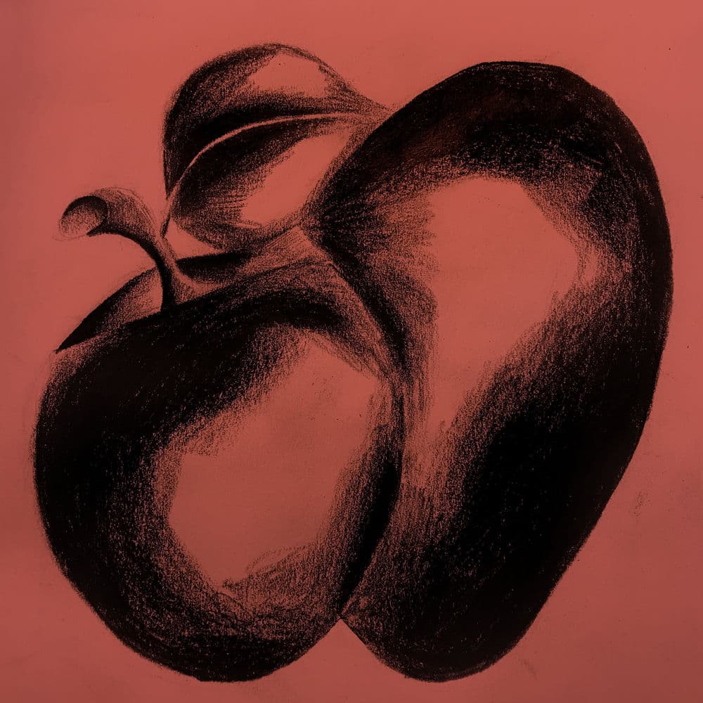 Plum by Widowspeak