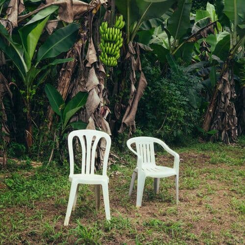 CAFé CON RON by Bad Bunny & Los Pleneros de la Cresta