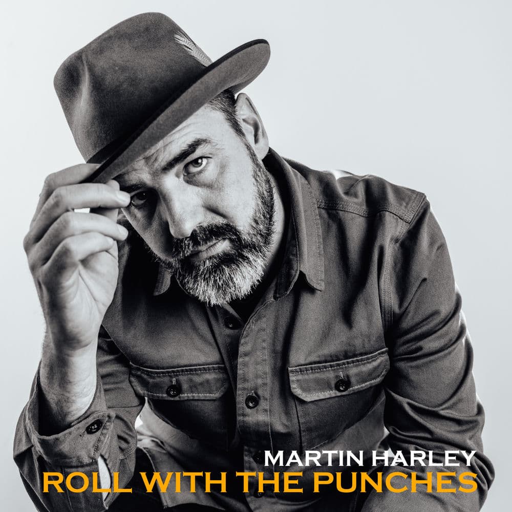 Roll With the Punches by Martin Harley