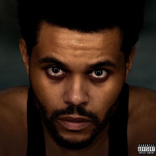 Reflections Laughing by The Weeknd, Travis Scott & Florence + The Machine