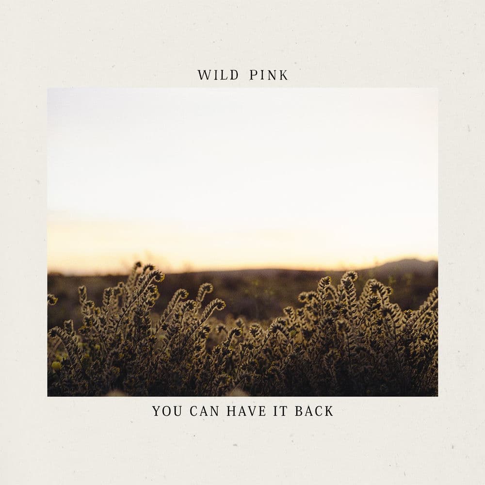 You Can Have It Back by Wild Pink