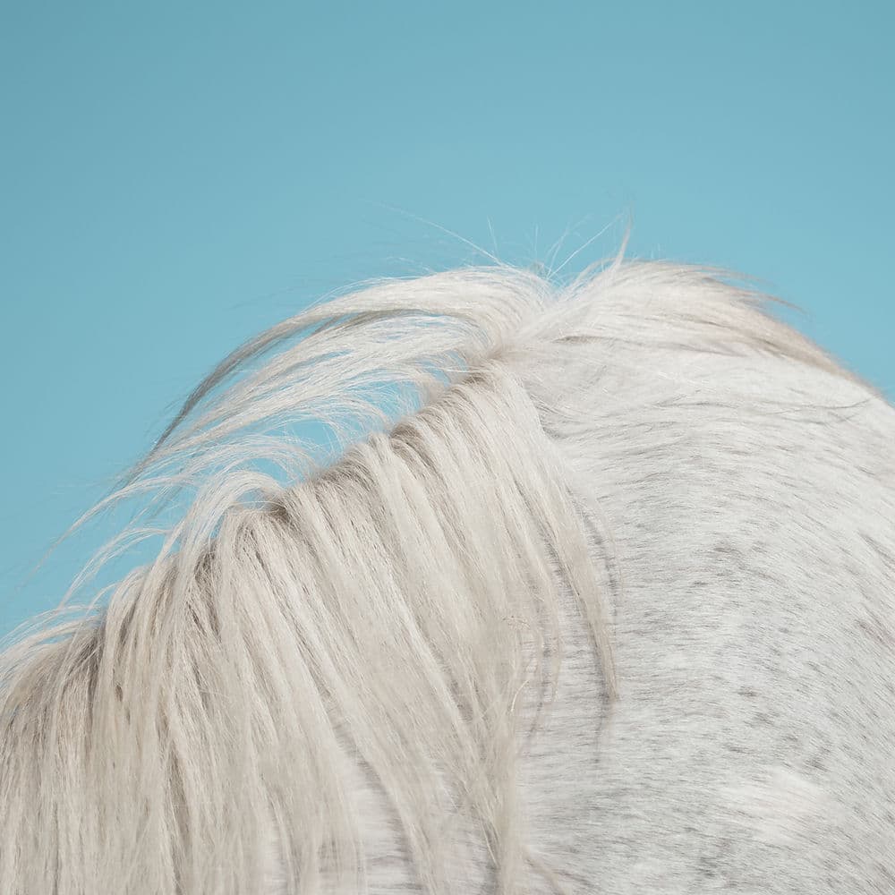 All Yours by Widowspeak