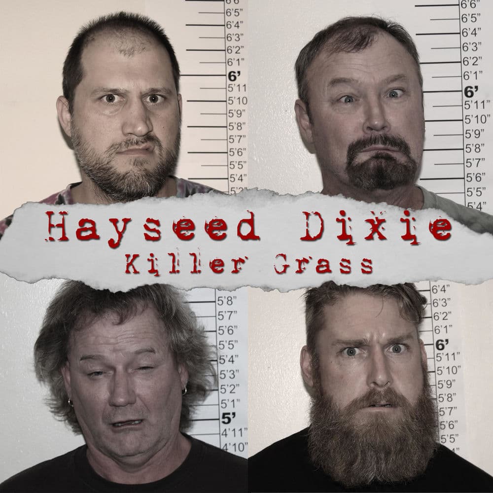 Killer Grass by Hayseed Dixie