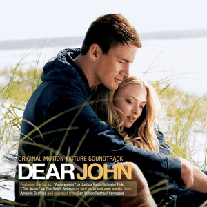 Dear John by Amanda Seyfried