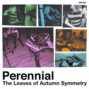 The Leaves Of Autumn Symmetry by Perennial