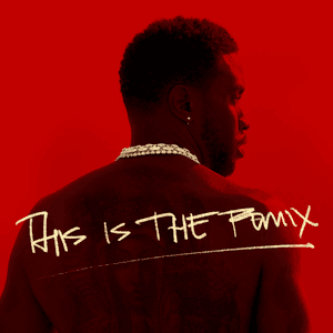 Gotta Move On (Remix) by Diddy