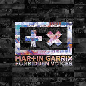 Forbidden Voices by Martin Garrix