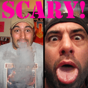 The Joe Rogan Podcast by Joe Rogan