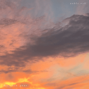 Distance Gone by Noble Oak