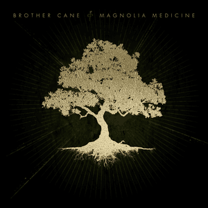The Wolf On The Mountain by Brother Cane