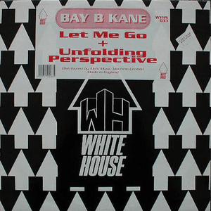 Let Me Go / Unfolding Perspective by Bay B Kane