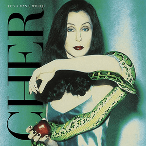 It's a Man's World by Cher