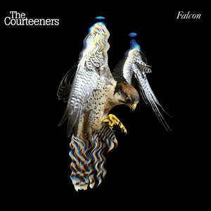 Falcon by The Courteeners