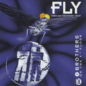 Fly (Through the Starry Night) by 2 Brothers on the 4th Floor
