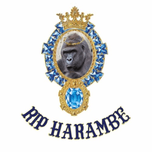 RIP Harambe by Elon Musk
