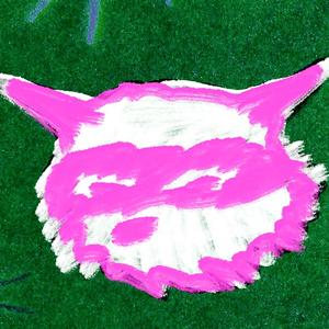 Do forever by cootie catcher