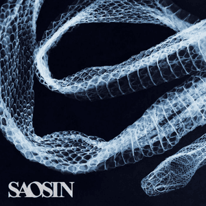 Starting Over Again by Saosin